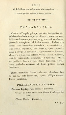 Bijdragen tot de flora van Nederlandsch Indie, 1825-1826, pt_7-12, p 294