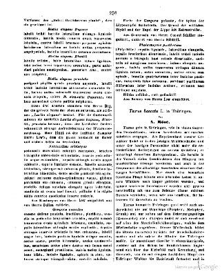Phalaenopsis pantherina Botanische Zeitung 22:98. 1864.