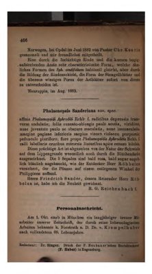 Phalaenopsis pantherina Botanische Zeitung 22:98. 1864.